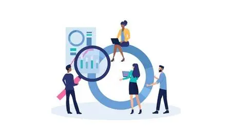 Data Analyst For Software Developers