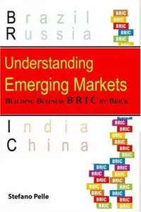 Understanding Emerging Markets: Building Business Bric by Brick