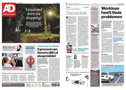 Algemeen Dagblad - Delft – 23 juli 2019