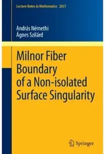 Milnor Fiber Boundary of a Non-isolated Surface Singularity (repost)