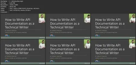 Technical Writing: How To Write Api Software Documentation