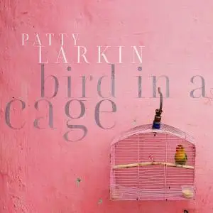 Patty Larkin - Bird In a Cage (2020)