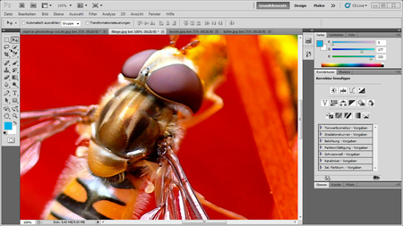 Galileo Design: Adobe Photoshop CS5 – Die Grundlagen [repost]