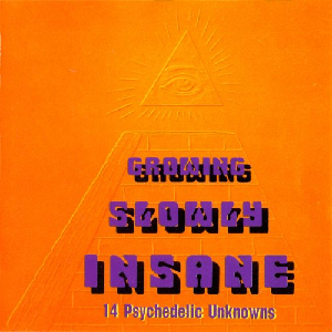 VA - Growing Slowly Insane - 14 Psychedelic Unknowns (1966-71) (1994)