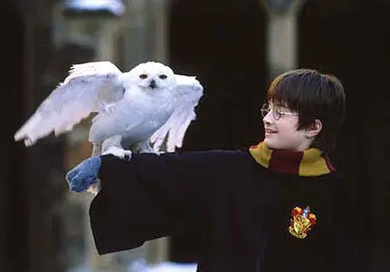 Harry Potter and the Philosophers Stone