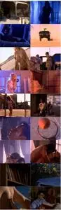 Playboy: Erotic Fantasies II (1993)