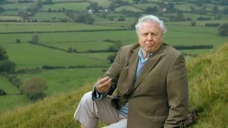 BBC - Attenborough: 60 Years in the Wild (2012)
