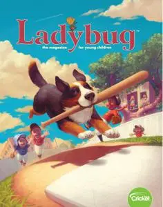 Ladybug  - July 2019