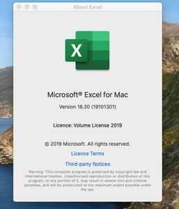 Microsoft Excel 2019 for Mac v16.38 VL Multilingual