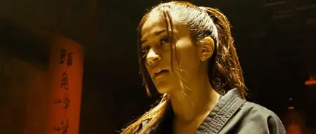Fighter (2007)