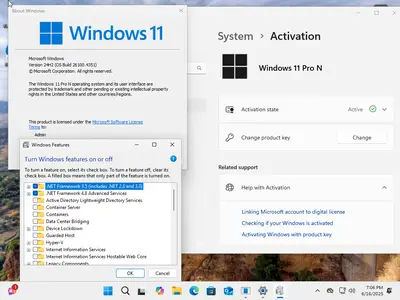Windows 11 AIO 16in1 24H2 Build 26100.4351 (No TPM Required) Preactivated Multilingual June 2025