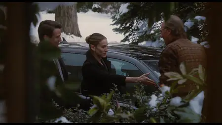 The Family Stone (2005)