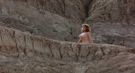 Beneath the Valley of the Ultra-Vixens (1979)