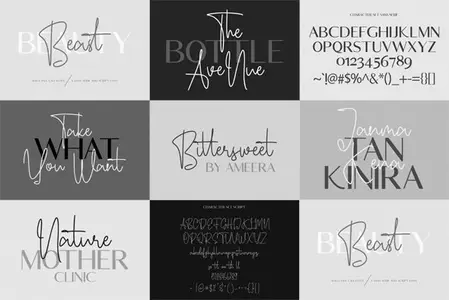 Beauty Beast - Fancy Duo Font