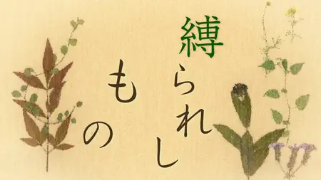 Natsume's Book of Friends (2008 S06E05 072 The Bound Ones LostYears