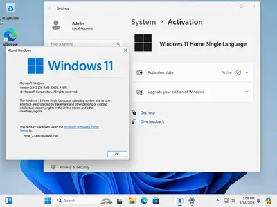 Windows 11 AIO 16in1 23H2 Build 22631.4169 (No TPM Required) Multilingual Preactivated September 2024