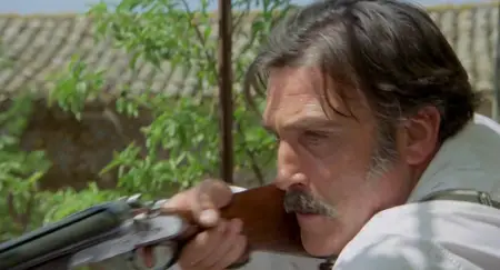 I Am the Law (1977)