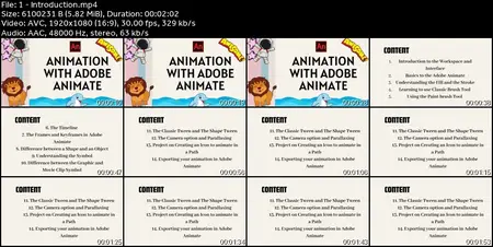 Adobe Animate: A Comprehensive Guide for Beginners to Pro
