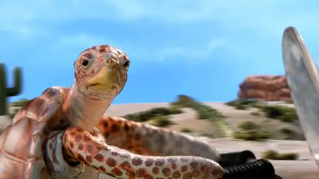 Robot Chicken Self-Discovery Special (2025)
