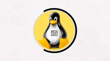 Linux Shell Scripting & Vi Editor Mastery Course [2024] !