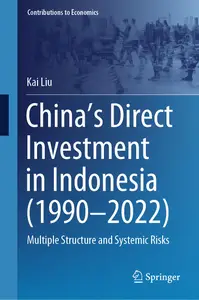 China’s Direct Investment in Indonesia (1990–2022): Multiple Structure and Systemic Risks (Contributions to Economics)
