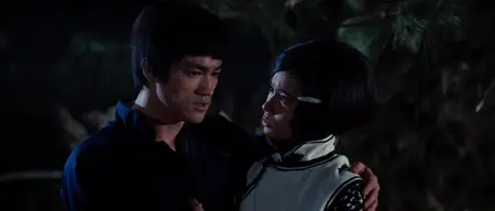 Fist of Fury (1972) [Dual Audio, REMASTERED]