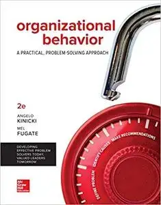 Organizational Behavior: A Practical, Problem-Solving Approach, 2nd Edition