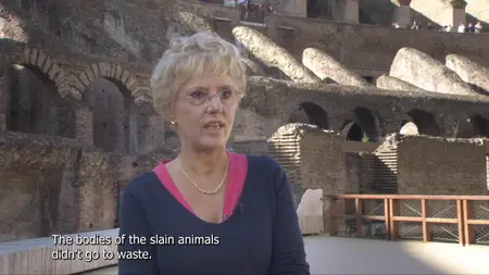 TVF - Ancient Splendours of Rome (2013)