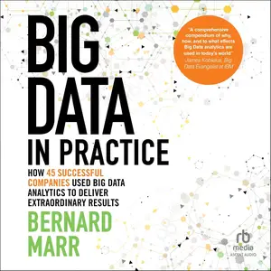 Big Data in Practice: How 45 Successful Companies Used Big Data Analytics to Deliver Extraordinary Results [Audiobook]