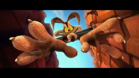 Looney Tunes Coyote Falls