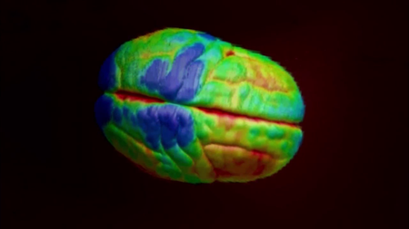 Inside the Human Body (2011)
