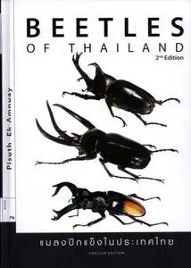 Beetles of Thailand, 2nd edition 
