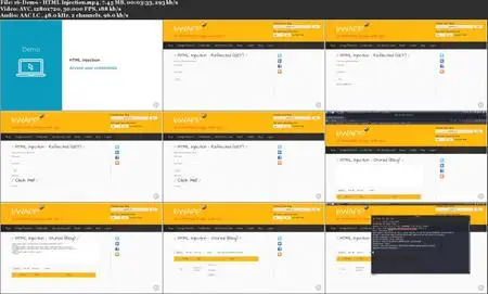 Web Application Penetration Testing: Client-side Testing