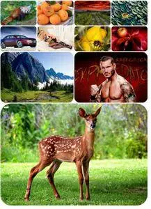 Beautiful Mixed Wallpapers Pack 344