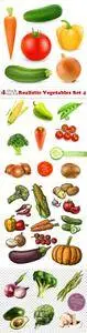 Vectors - Realistic Vegetables Set 4