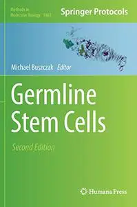 Germline Stem Cells