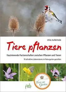 Tiere pflanzen: Faszinierende Partnerschaften zwischen Pflanzen und Tieren - 18 attraktive Lebensräume im Naturgarten gestalten