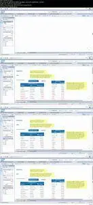 Creating Reports with SAP BO (Webi) [Fast Track]
