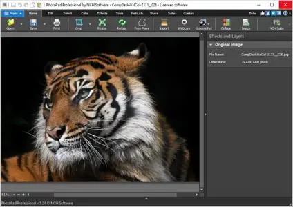 NCH PhotoPad Image Editor 11.59 for windows download free
