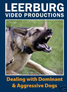 Dealing with Aggressive and Dominant Dogs [repost]