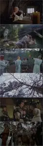 Hawk the Slayer (1980)