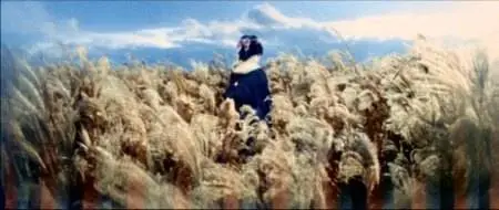 Kon Ichikawa-Yukinojo henge ('An Actor's Revenge') (1963)