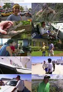 Discovery Channel - Ultimate Journeys: Florida (2010)