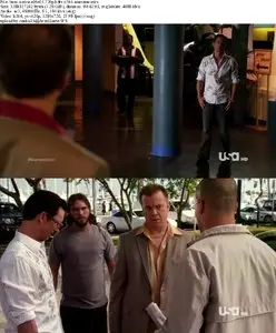 Burn Notice S05E03