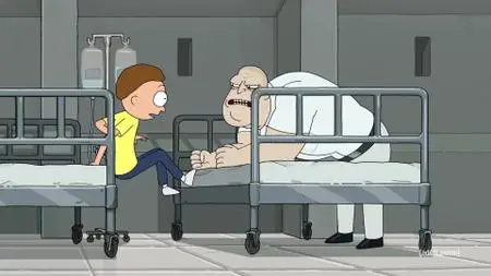 Rick and Morty S05E09