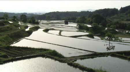 Satoyama: Japan's Secret Water Garden (2004)