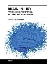 Brain Injury – Pathogenesis, Monitoring, Recovery and Management by Amit Agrawal
