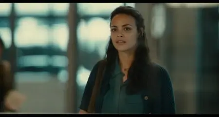 Le passé (2013)