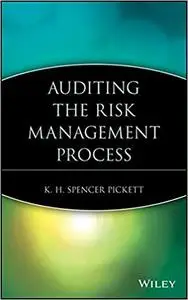 Auditing the Risk Management Process