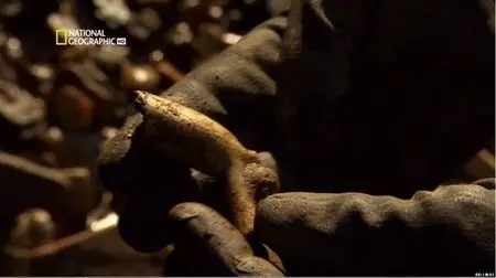 National Geographic - Lucky Muckers (2012)